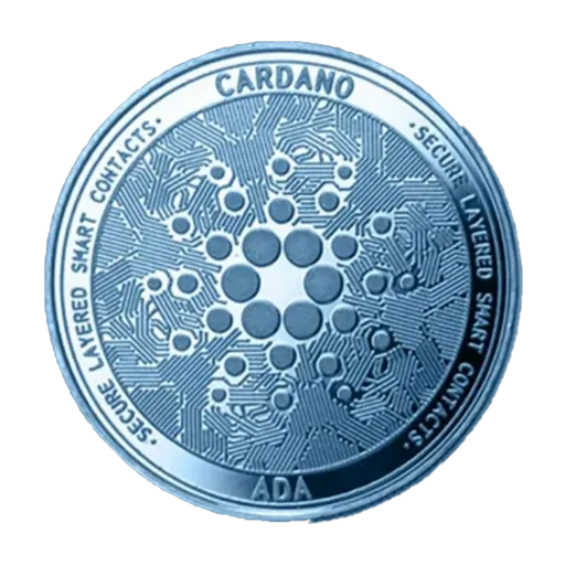 Cardano termistö